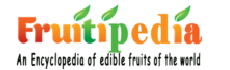 Fruitipedia